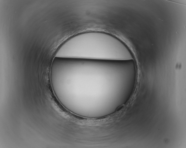 X0000112140009200908070950