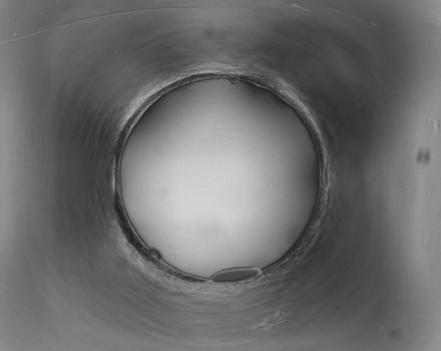 X0000112140011200908070950