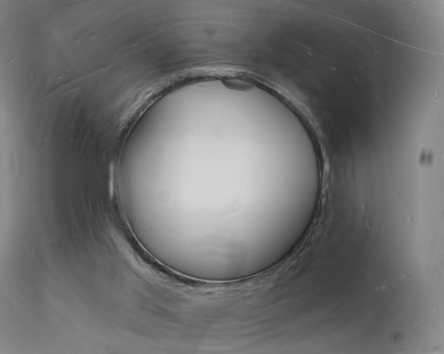 X0000112140013200908070950