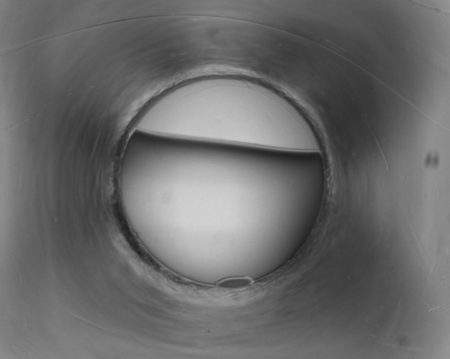 X0000112140015200908070950