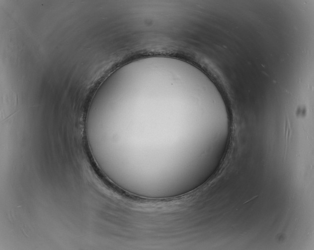 X0000112140017200908070950