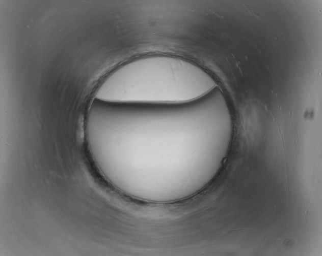 X0000112140020200908070950