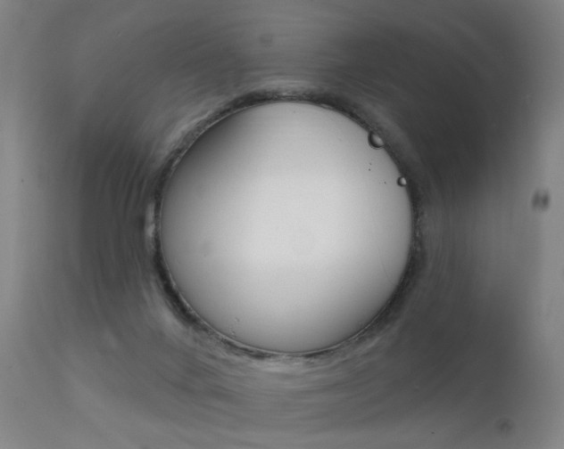 X0000112140024200908070950