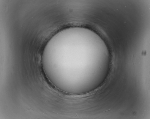 X0000112140025200908070950