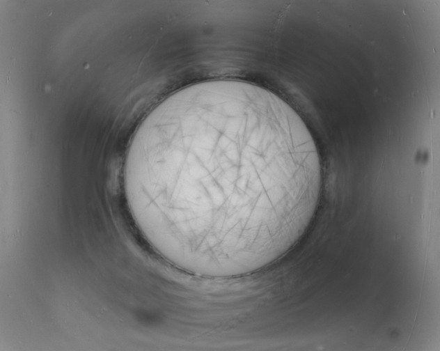 X0000112140026200908070950