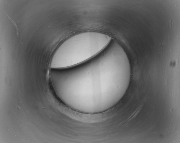 X0000112140027200908070950