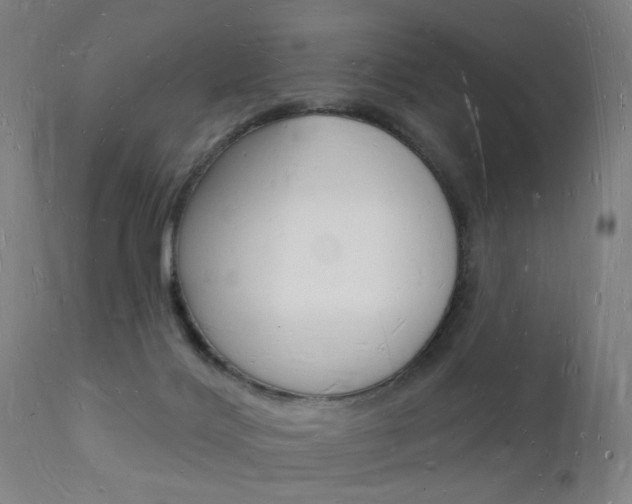 X0000112140028200908070950