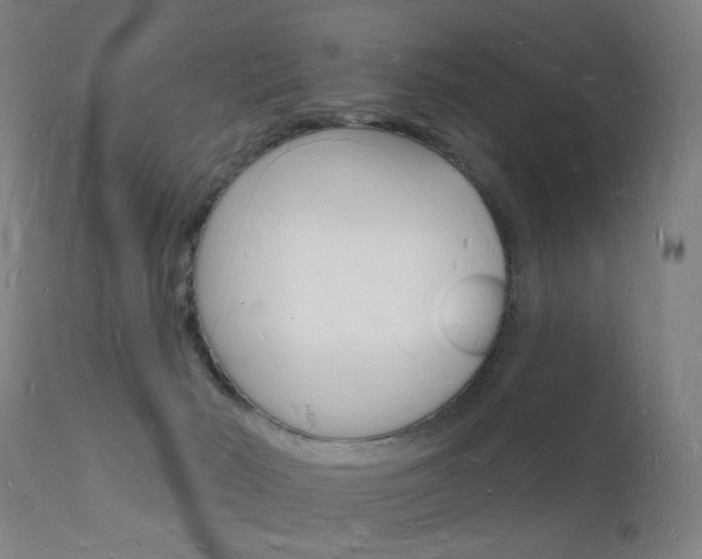 X0000112140030200908070950