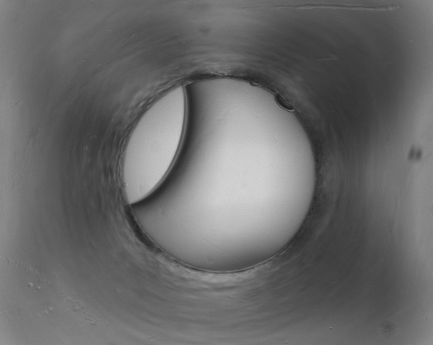 X0000112140031200908070950