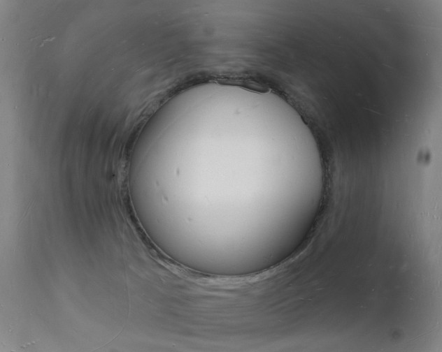 X0000112140033200908070950