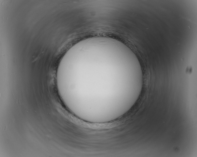X0000112140038200908070949