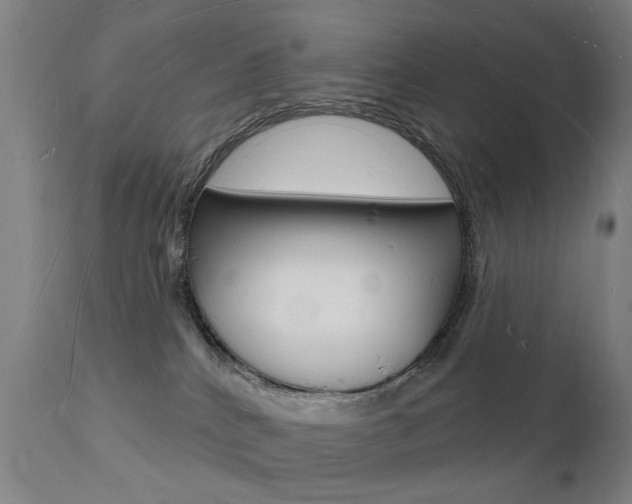 X0000112140040200908070949
