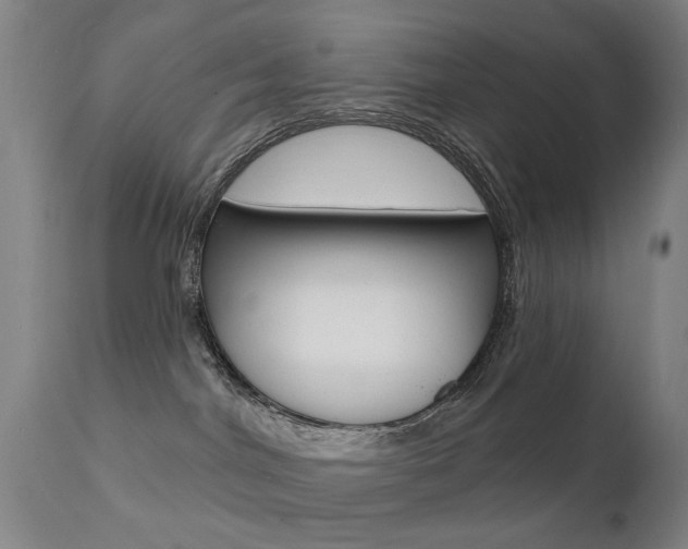 X0000112140044200908070949