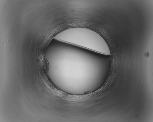 X0000112140045200908070949