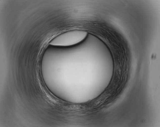 X0000112140049200908070948