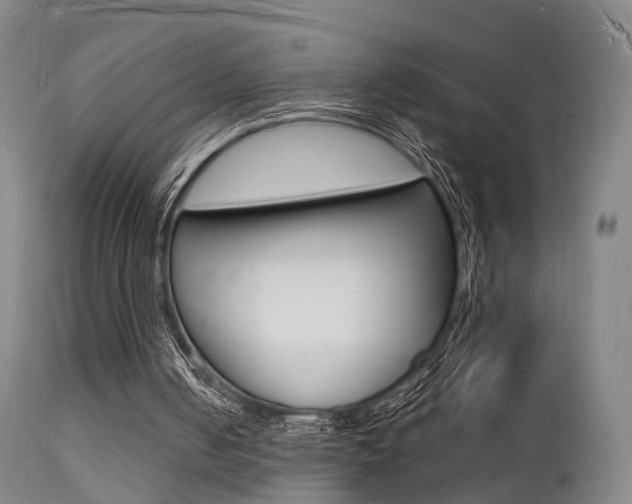 X0000112140050200908070949
