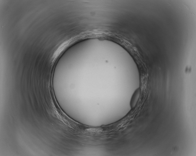 X0000112140051200908070949