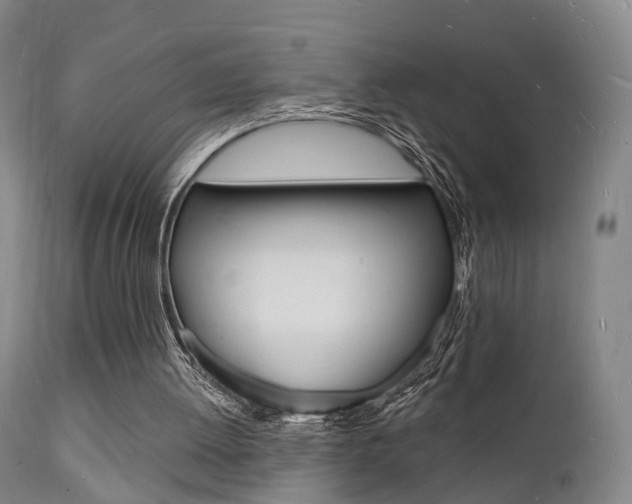 X0000112140052200908070949