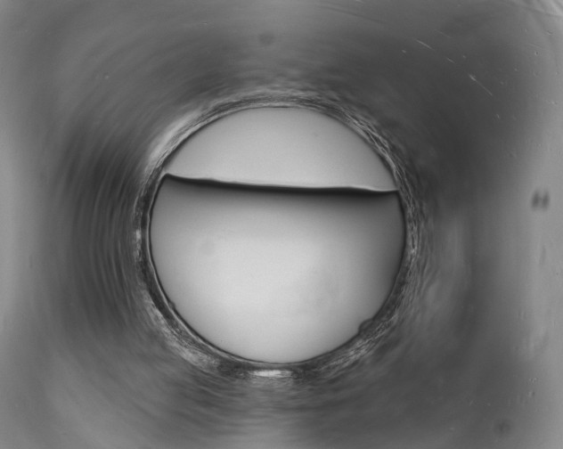 X0000112140053200908070949