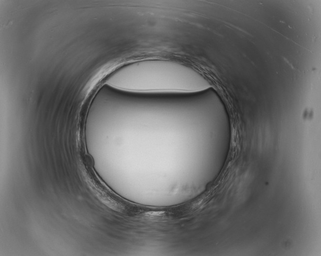 X0000112140054200908070949