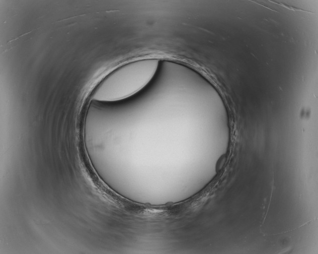X0000112140055200908070949