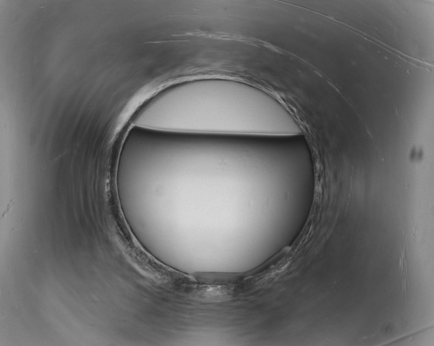 X0000112140056200908070949