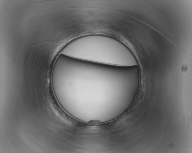 X0000112140059200908070949