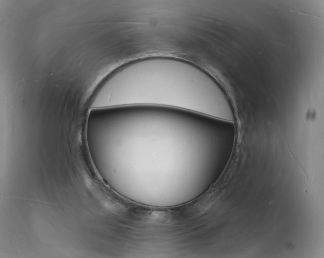 X0000112140060200908070949