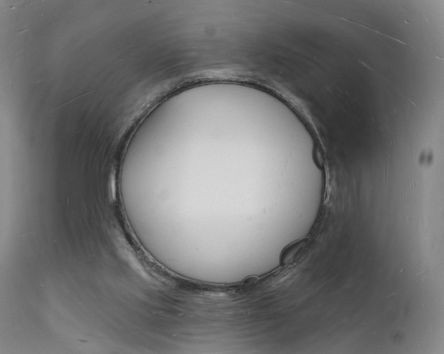 X0000112140061200908070949