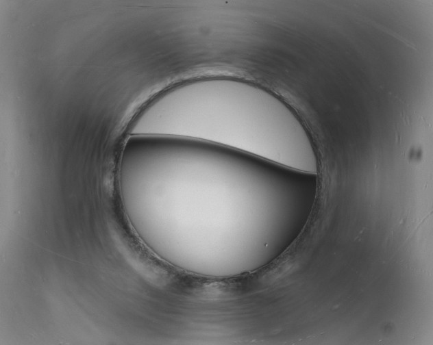X0000112140064200908070949