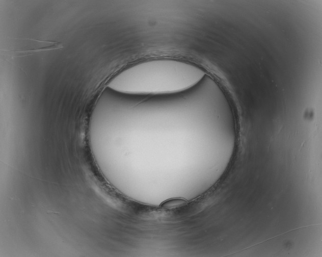 X0000112140065200908070949