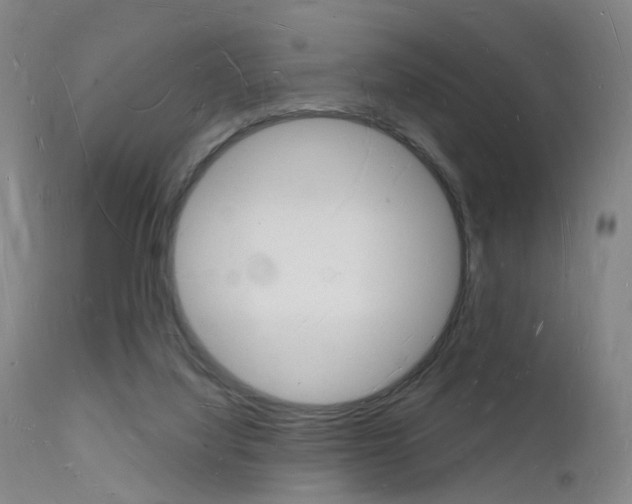 X0000112140068200908070949