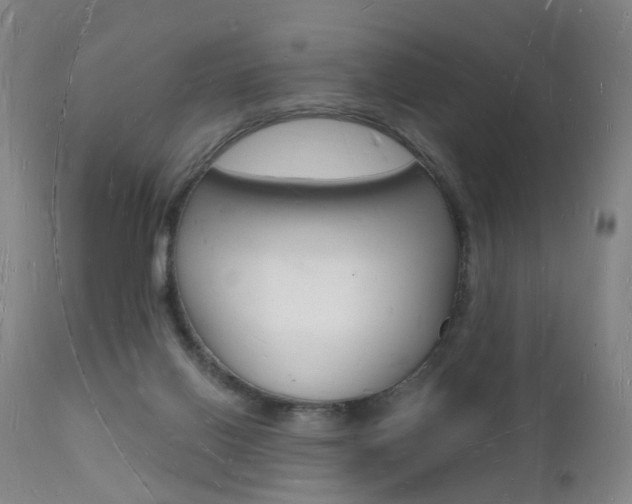 X0000112140070200908070949