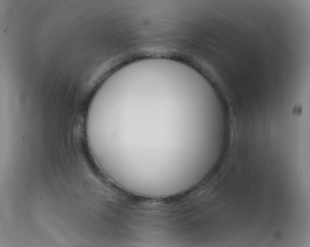X0000112140071200908070949