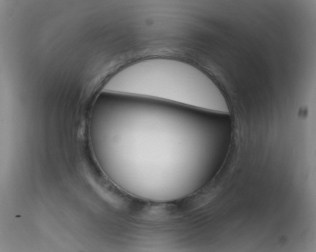 X0000112140072200908070949