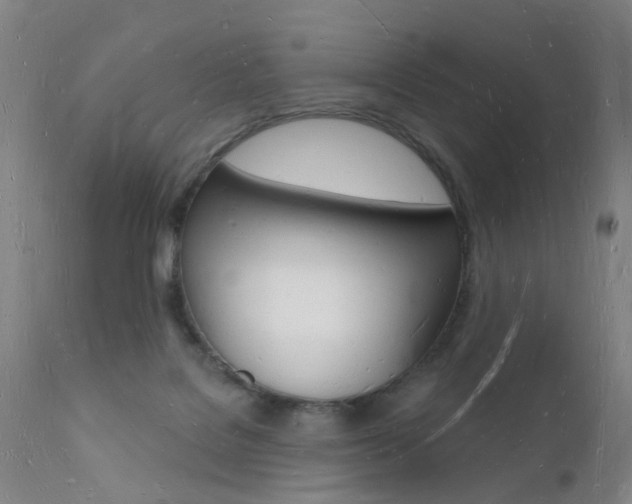 X0000112140076200908070949