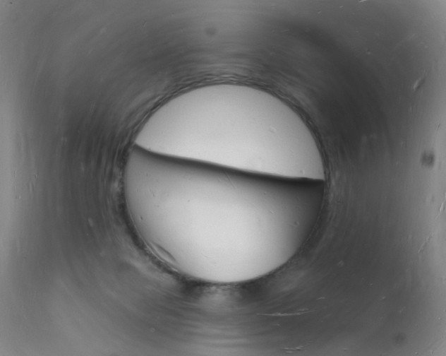 X0000112140077200908070949