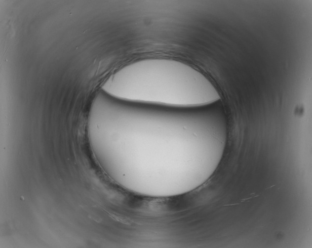 X0000112140078200908070949