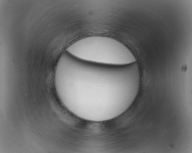 X0000112140079200908070949