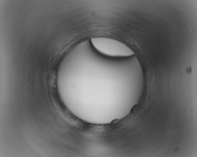 X0000112140083200908070949