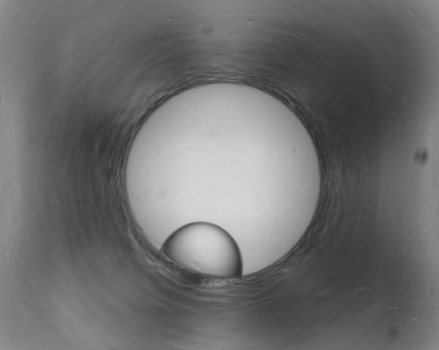 X0000112140084200908070949