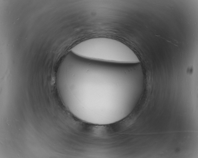 X0000112140085200908070949