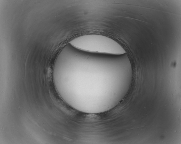X0000112140087200908070949