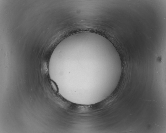 X0000112140089200908070949
