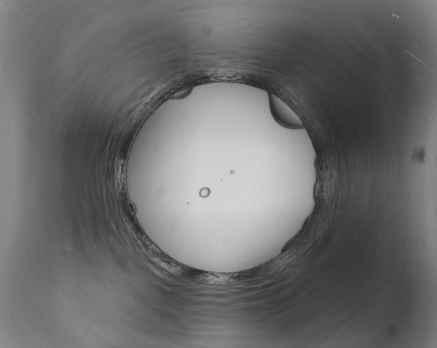 X0000112140093200908070949