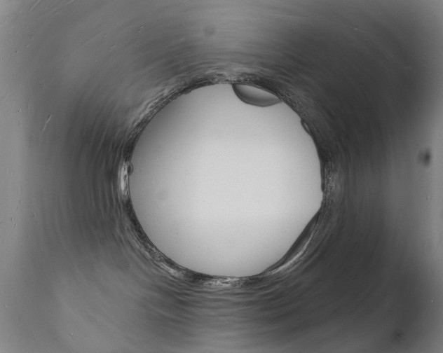 X0000112140094200908070949