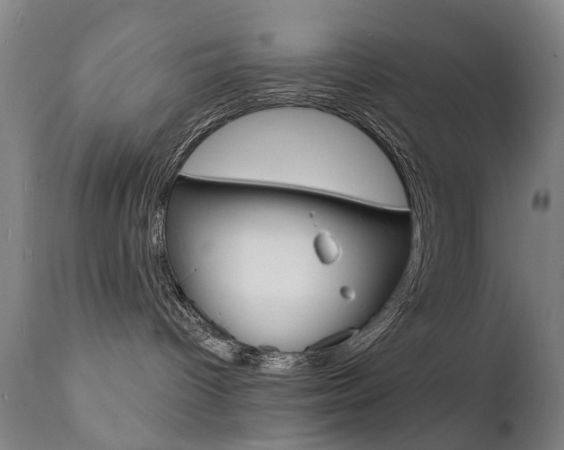 X0000112140096200908070949
