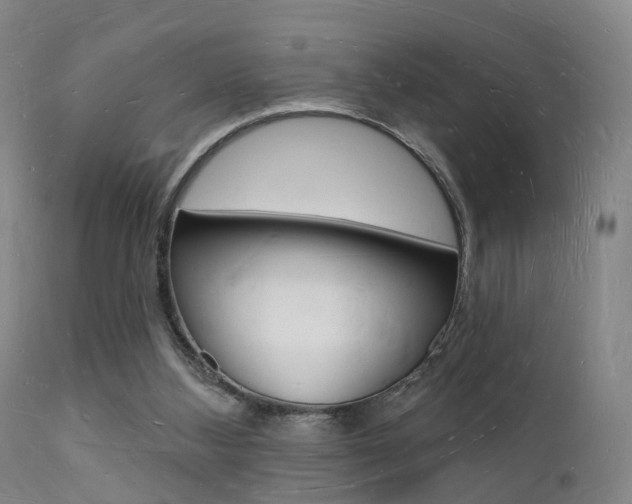 X0000112140108200908070948