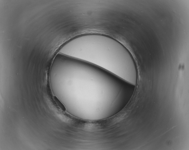 X0000112140109200908070948