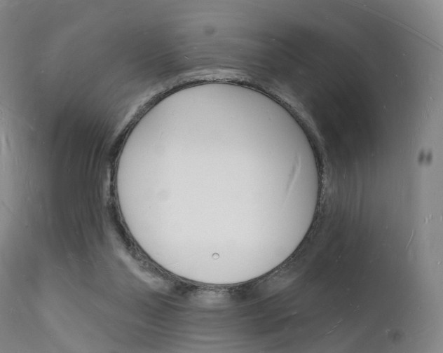 X0000112140110200908070948